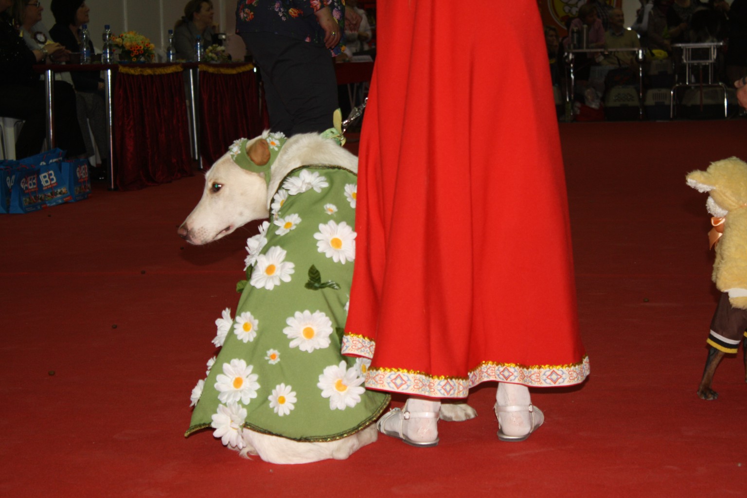 IMG_5122.JPG