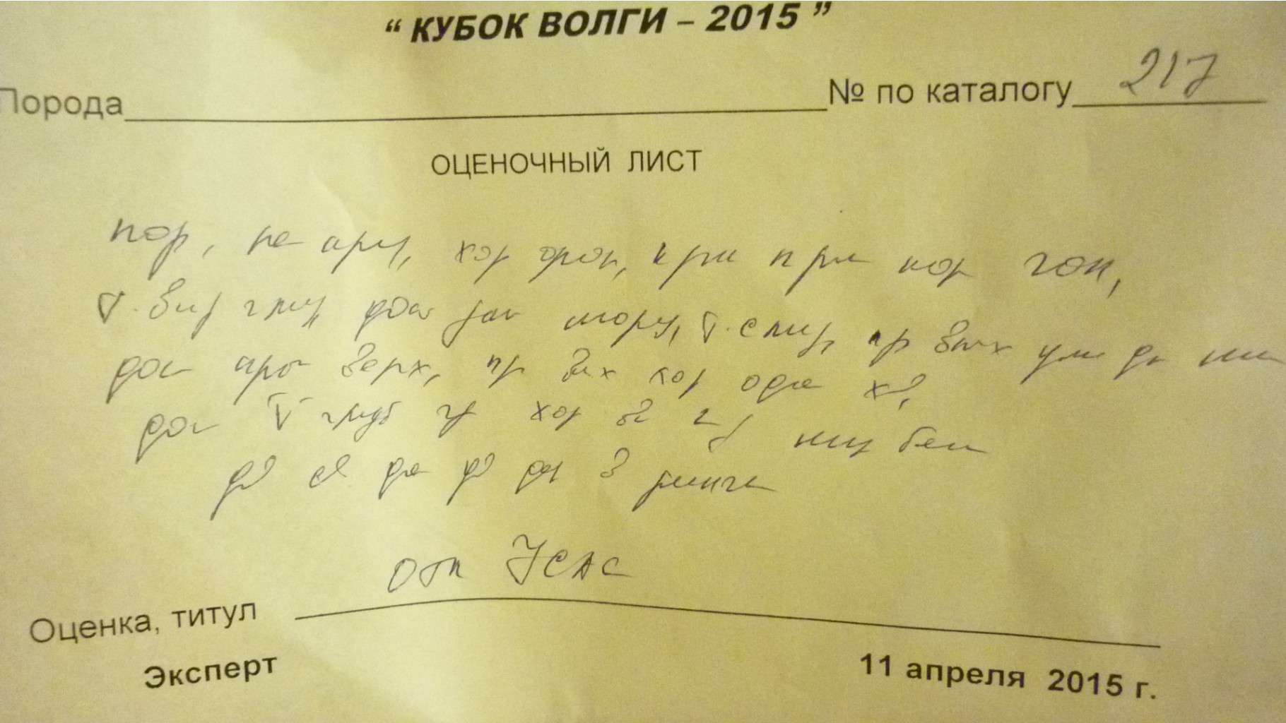 P1080426.JPG