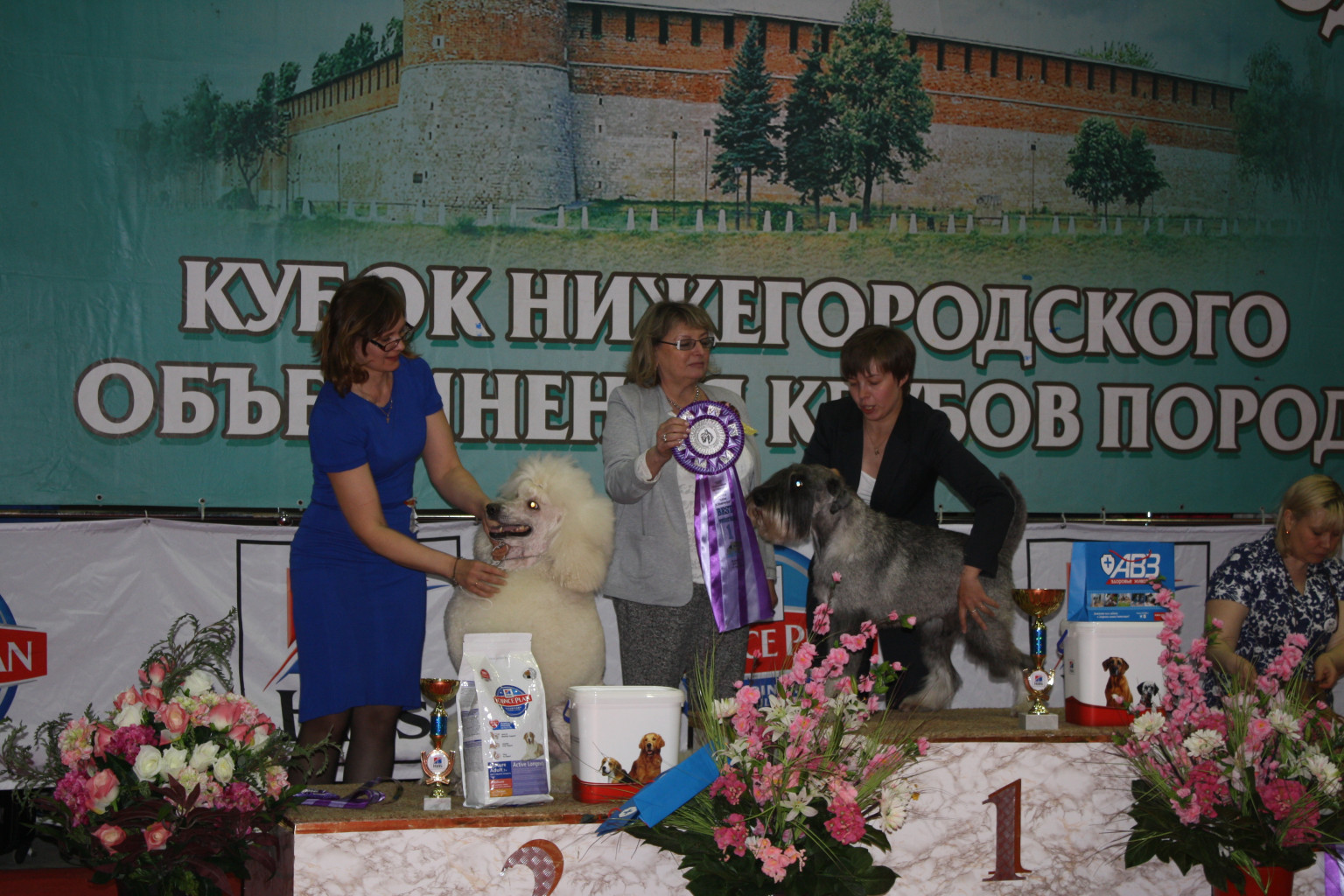 IMG_5172.JPG