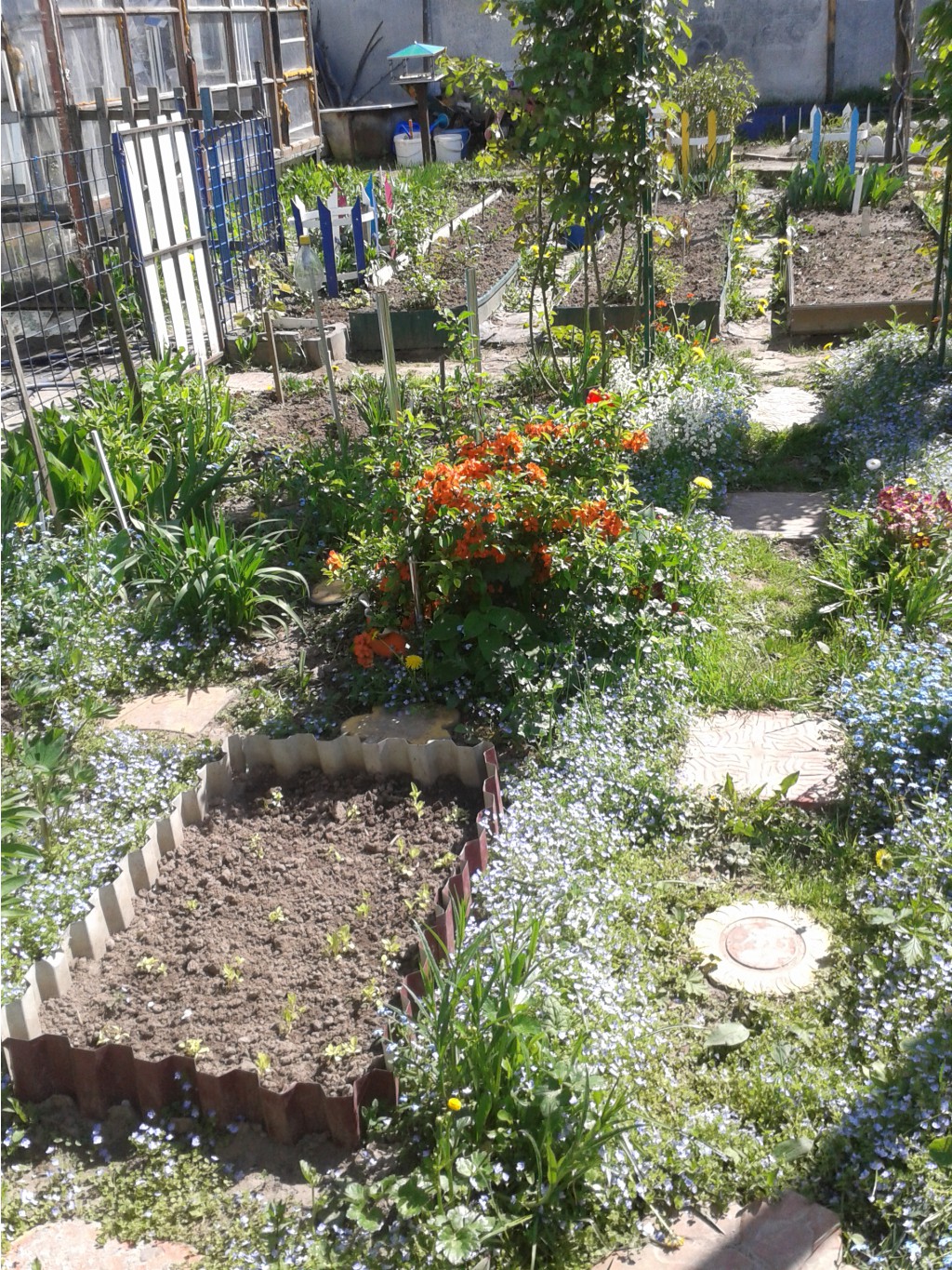 20140515_141716.jpg