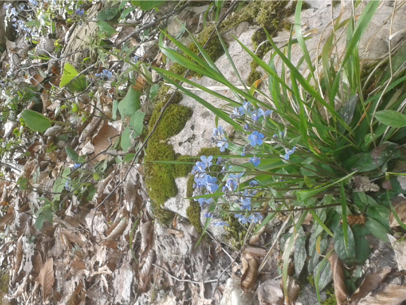 20130101_095707.jpg