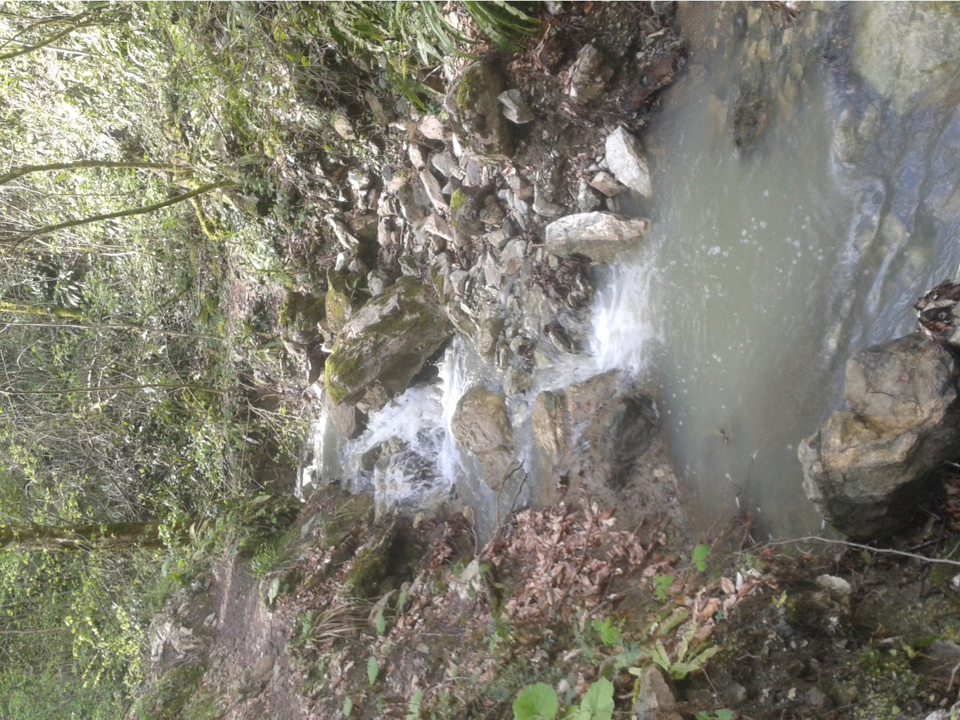 20130101_094926.jpg
