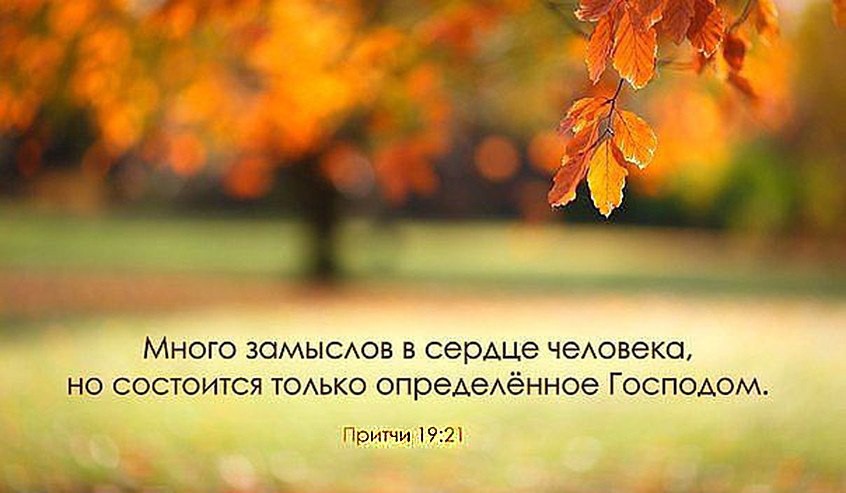 замыслы.jpg