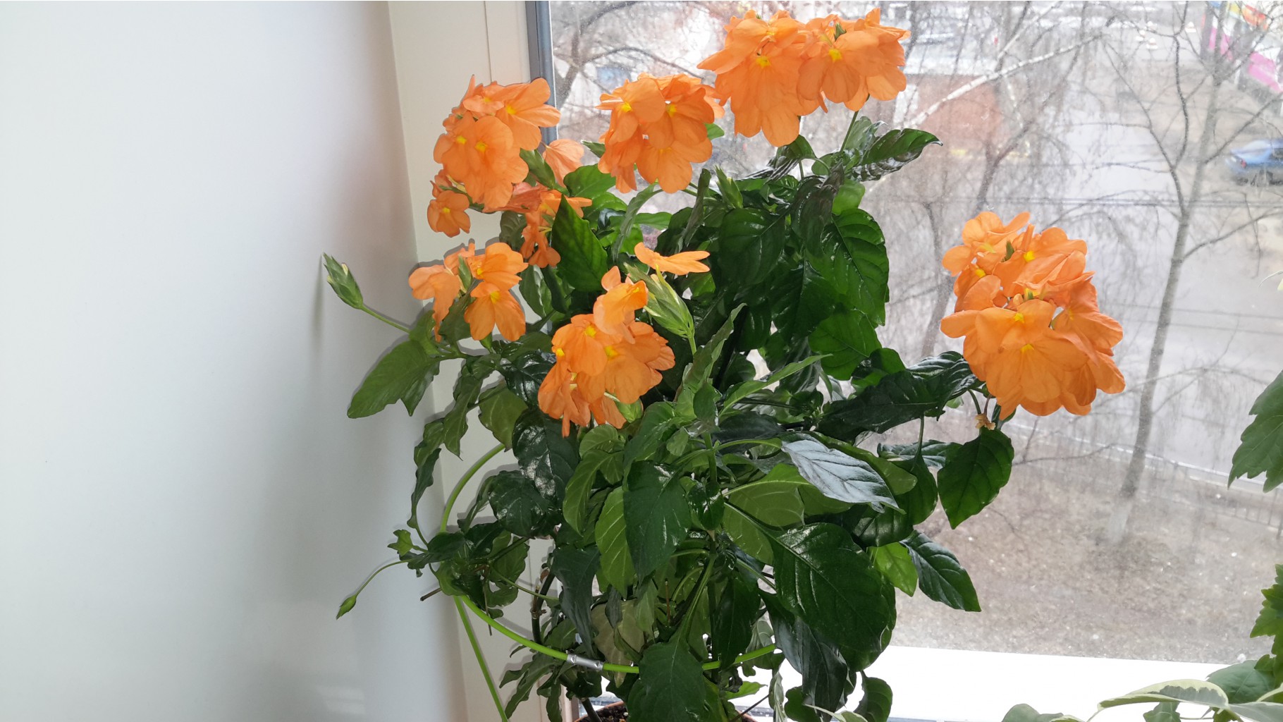 20150423_071904.jpg