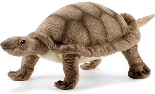 4206    , 22  - 651,21.jpg