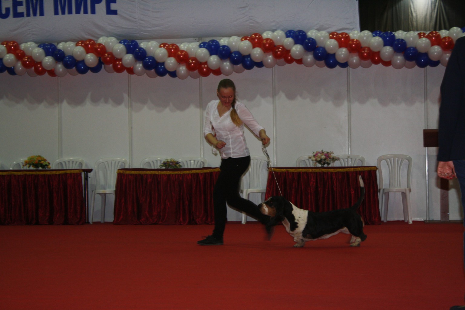 IMG_5005.JPG