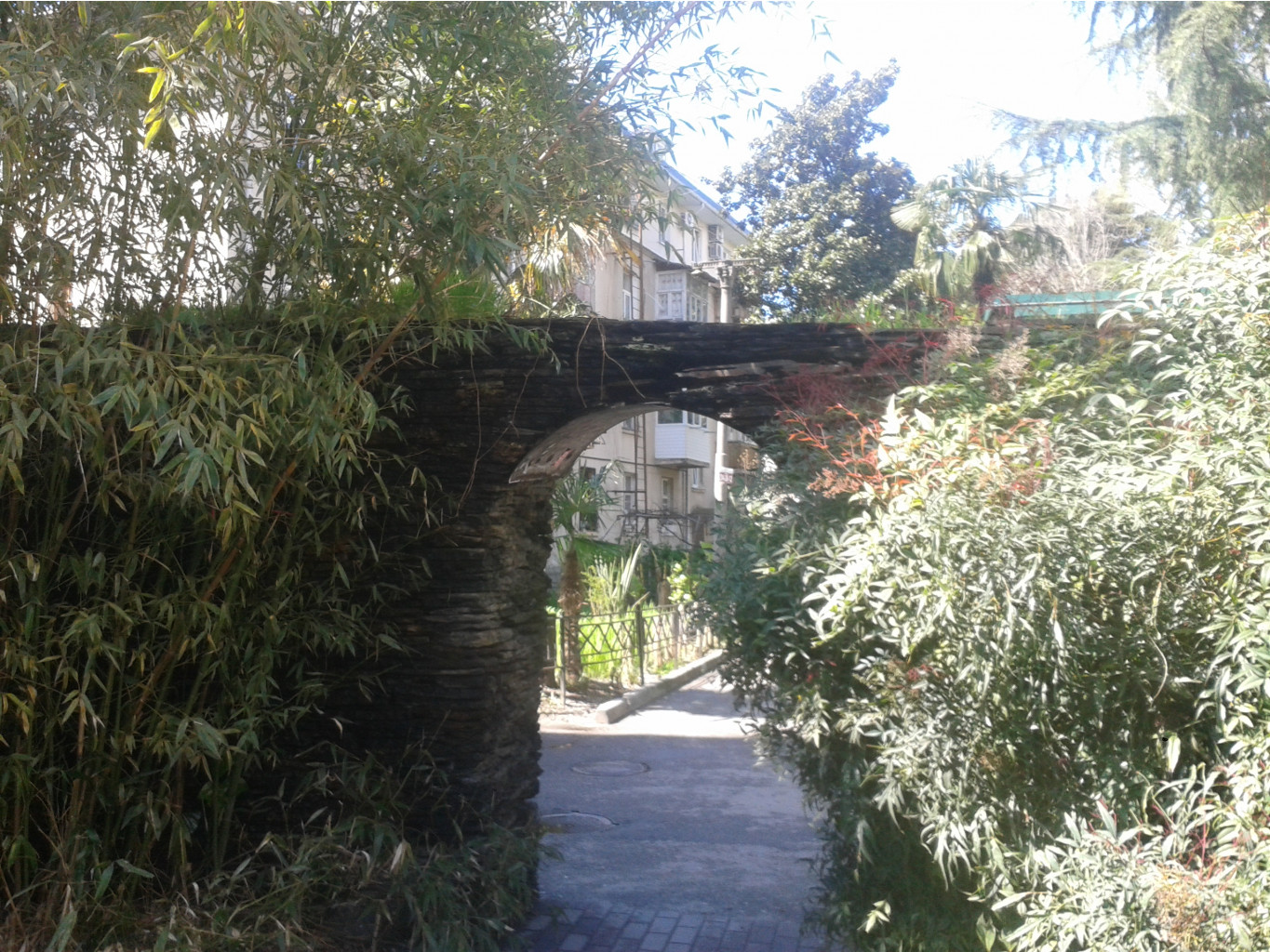 20150405_112323.jpg