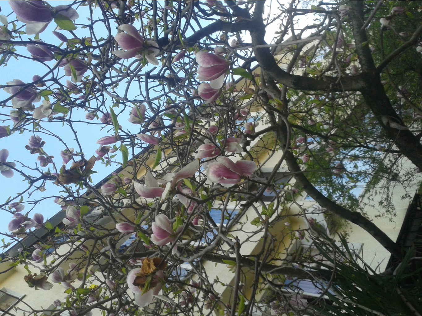 20150331_170229.jpg