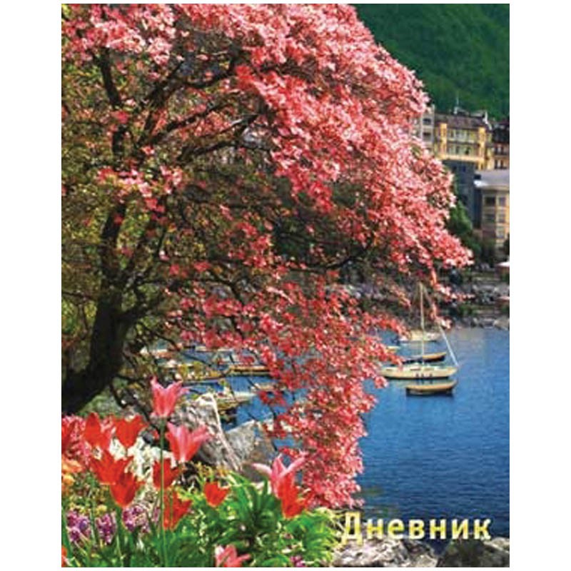 Дневник 5-11 кл. 48л. (твердый) Весенний пейзаж, выборочный лак, блестки 43,38.jpg