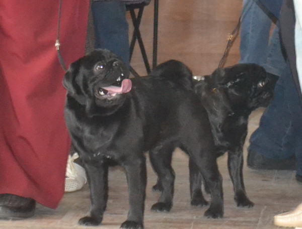 DSC_0013000.jpg