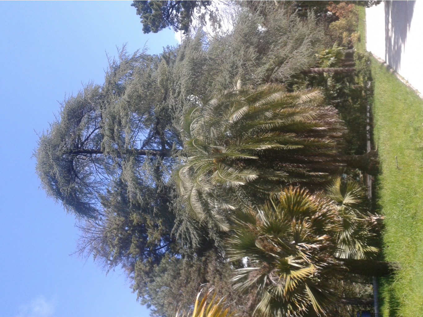 20150403_112212.jpg