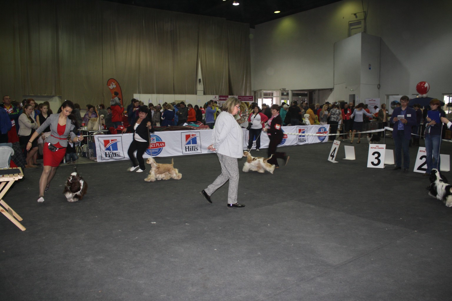IMG_5087.JPG