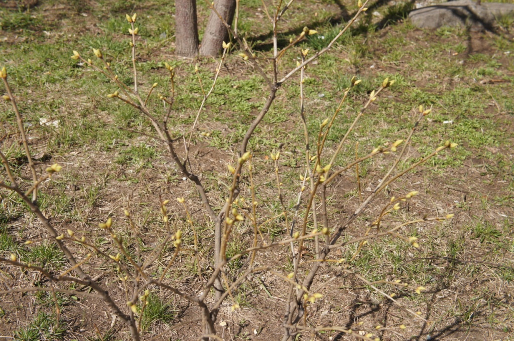 DSC06554.JPG