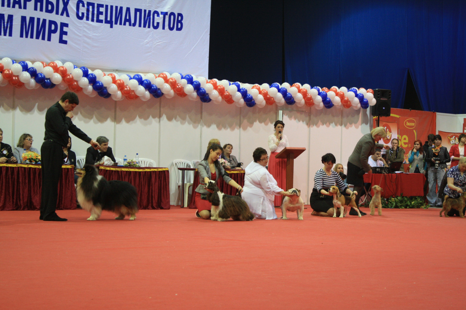 IMG_5208.JPG