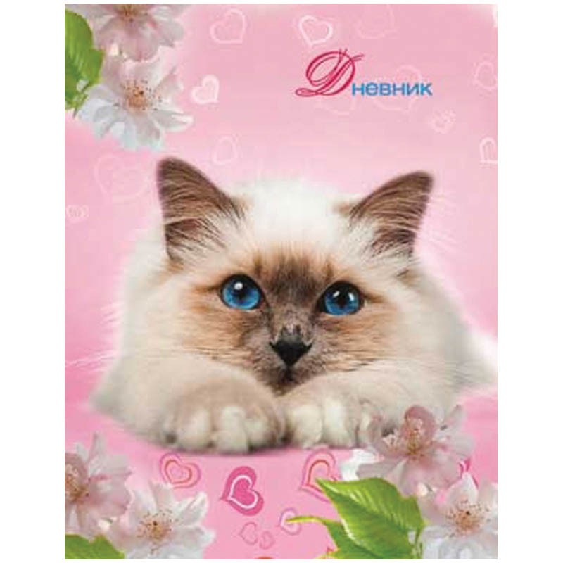 Дневник 1-4 кл. 48л. ЛАЙТ Домашняя кошечка , блестки 37,88.jpg