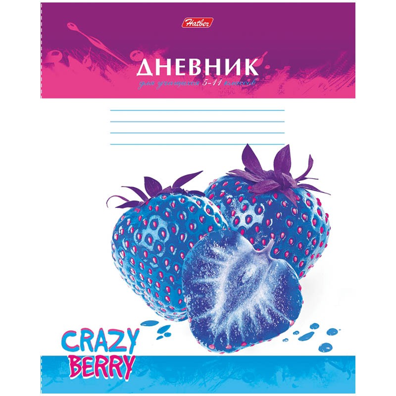 Дневник 5-11 кл. 48л. Crazy Berry 15,57.jpg