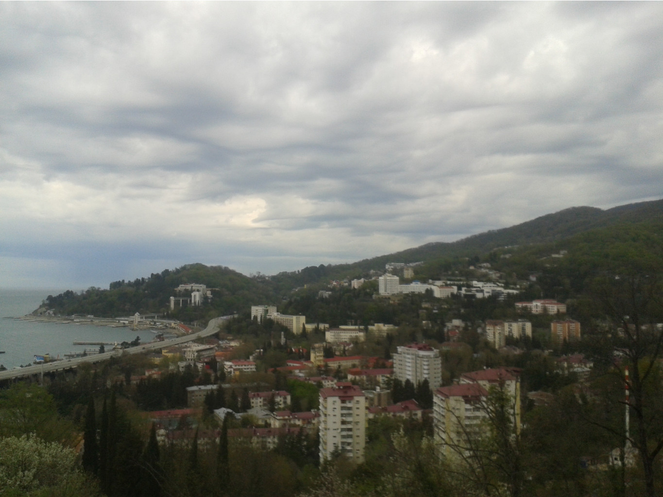20150402_102548.jpg