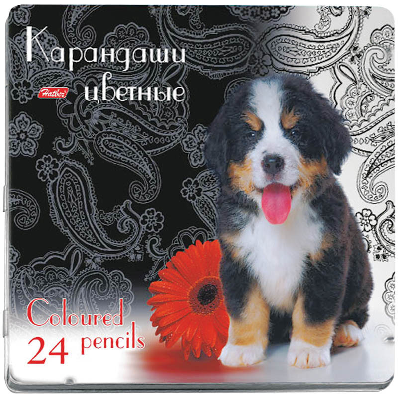 Карандаши Щенок 24цв., в метал. пенале 233,86.jpg