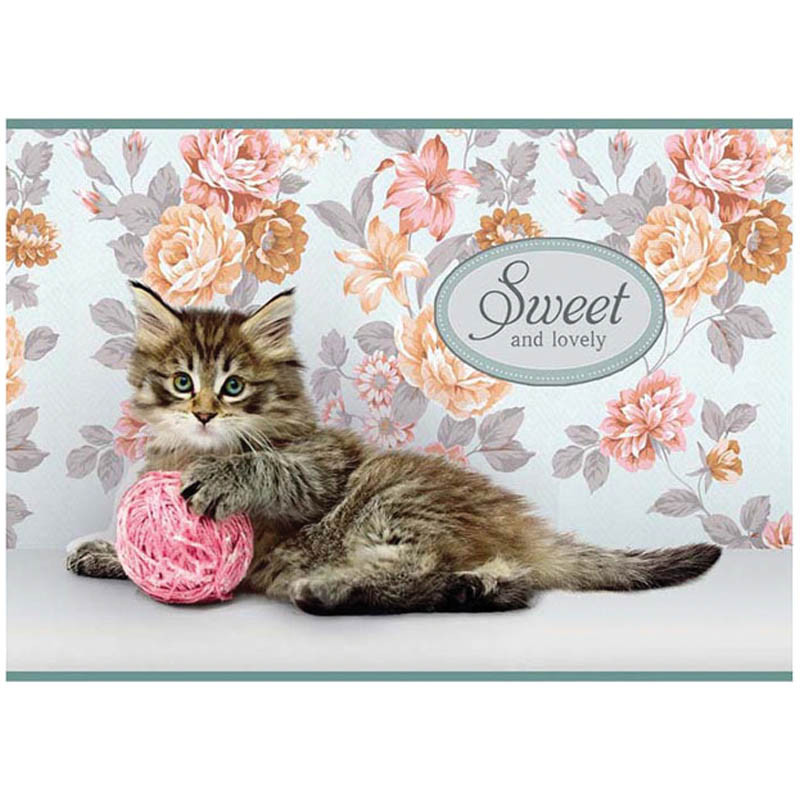 Альбом для рисования 12л. А4 на скрепке Питомцы. Sweet pets, блок 100 гм2, обл. офсет 11,20.jpg