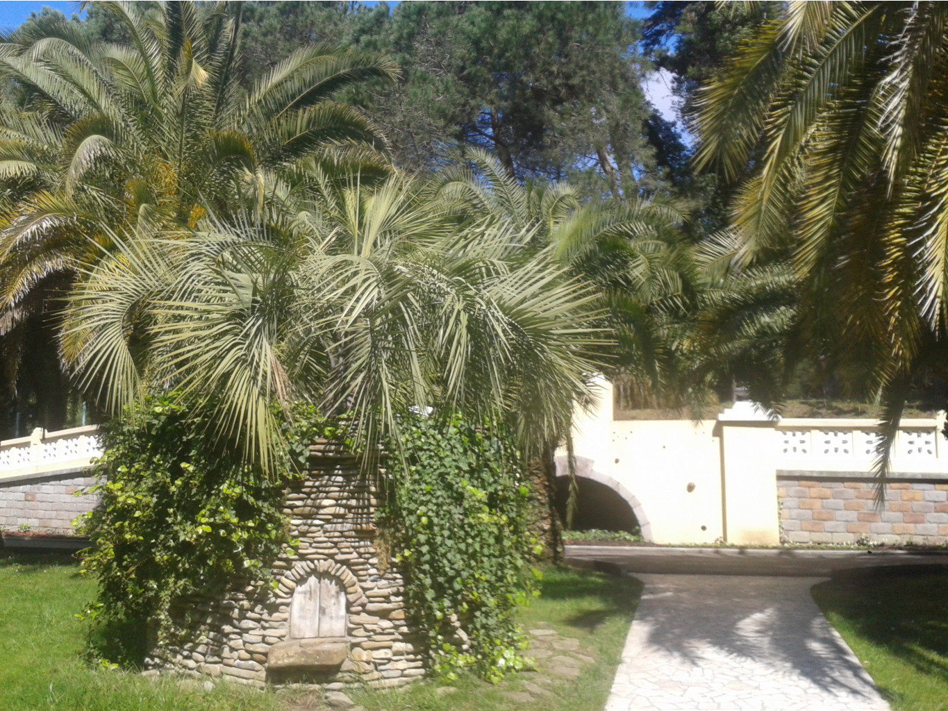 20150403_113035.jpg