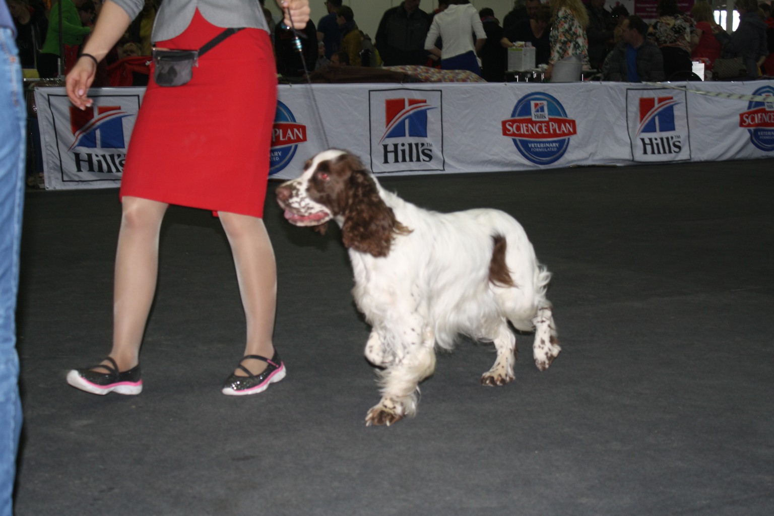 IMG_4981.JPG