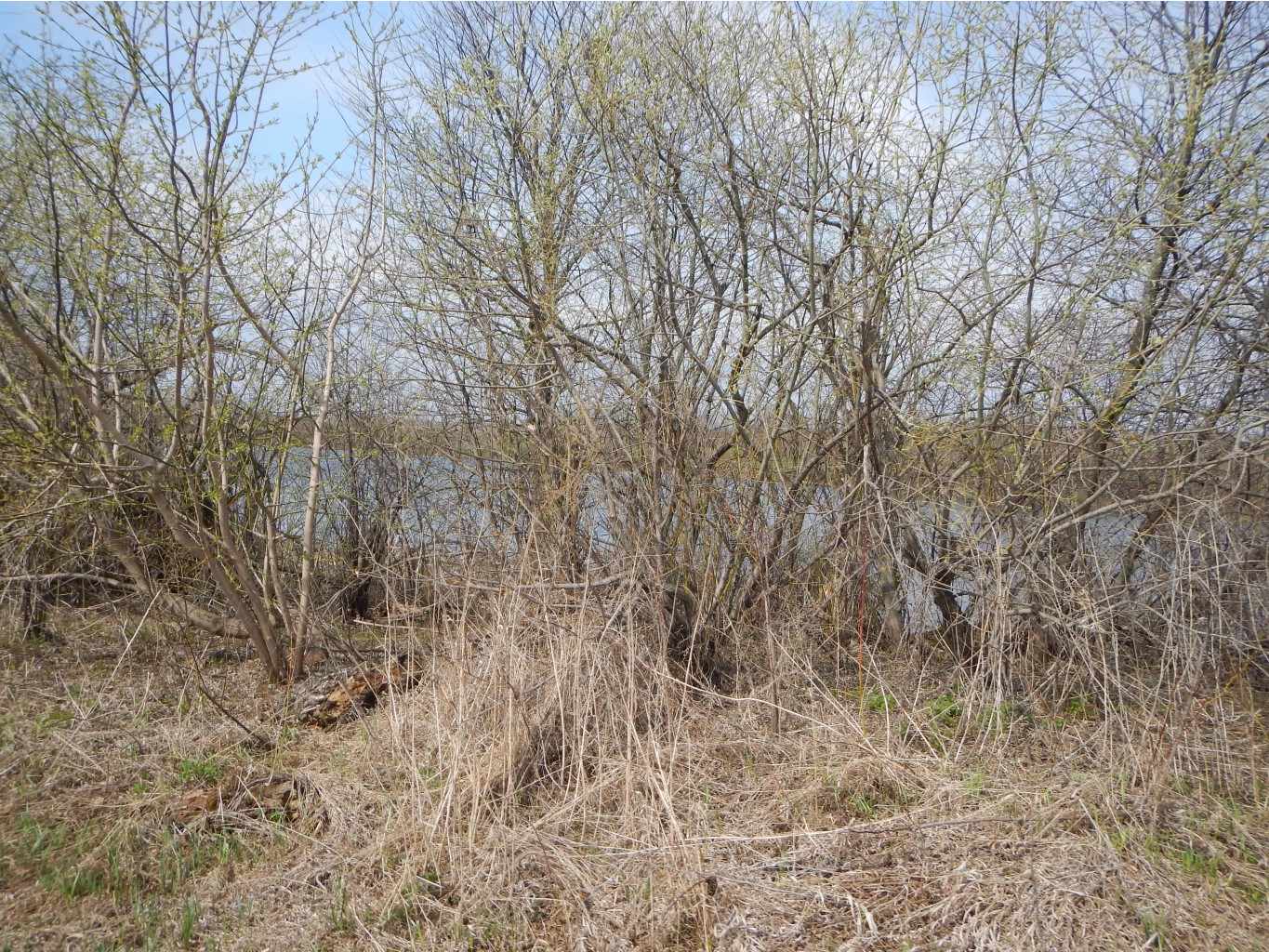 DSCN0084.JPG