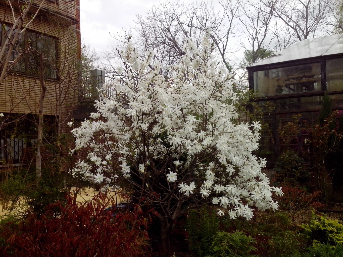 IMG_20150504_180007.jpg