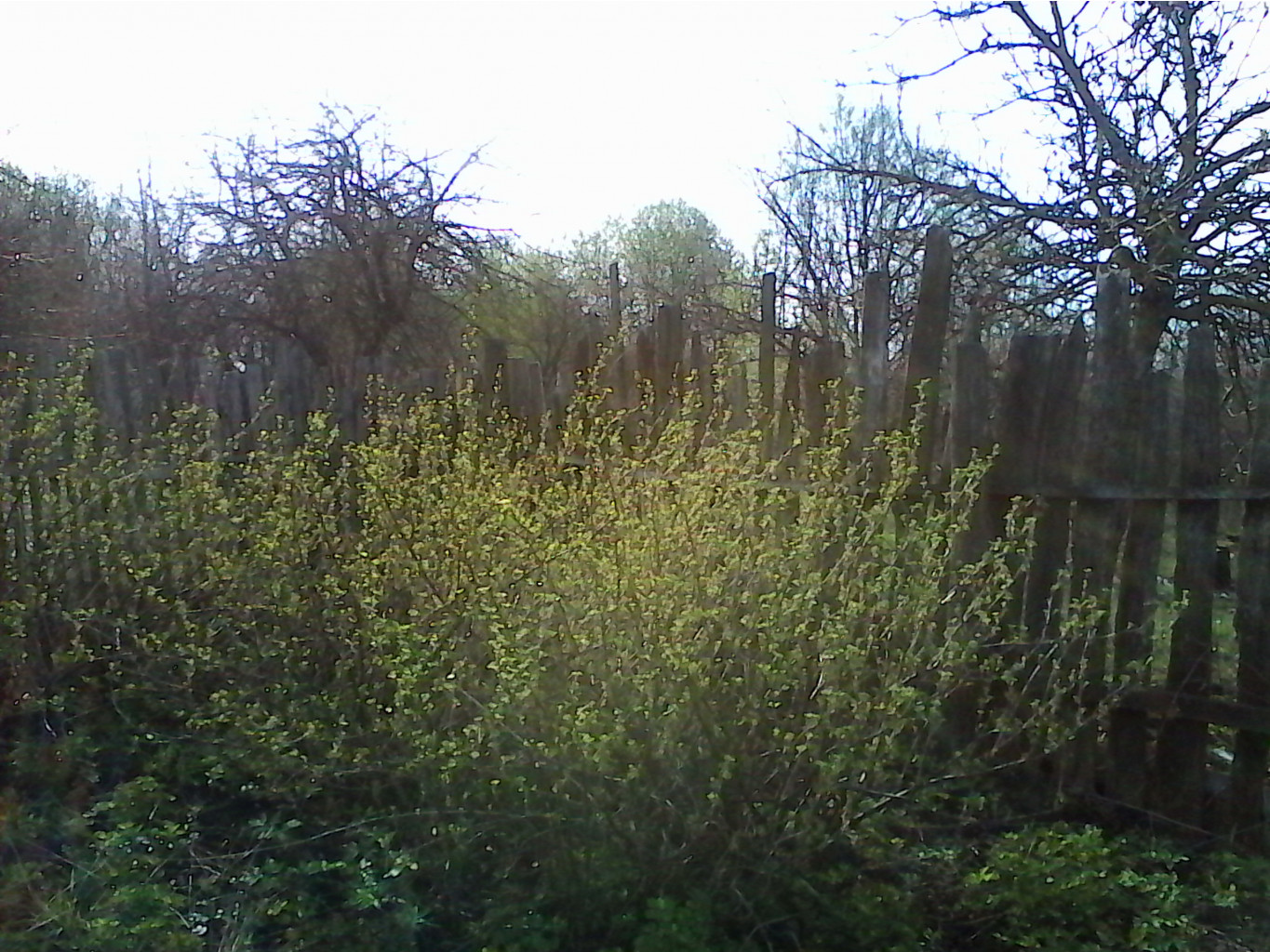 IMG_20150504_073856.jpg