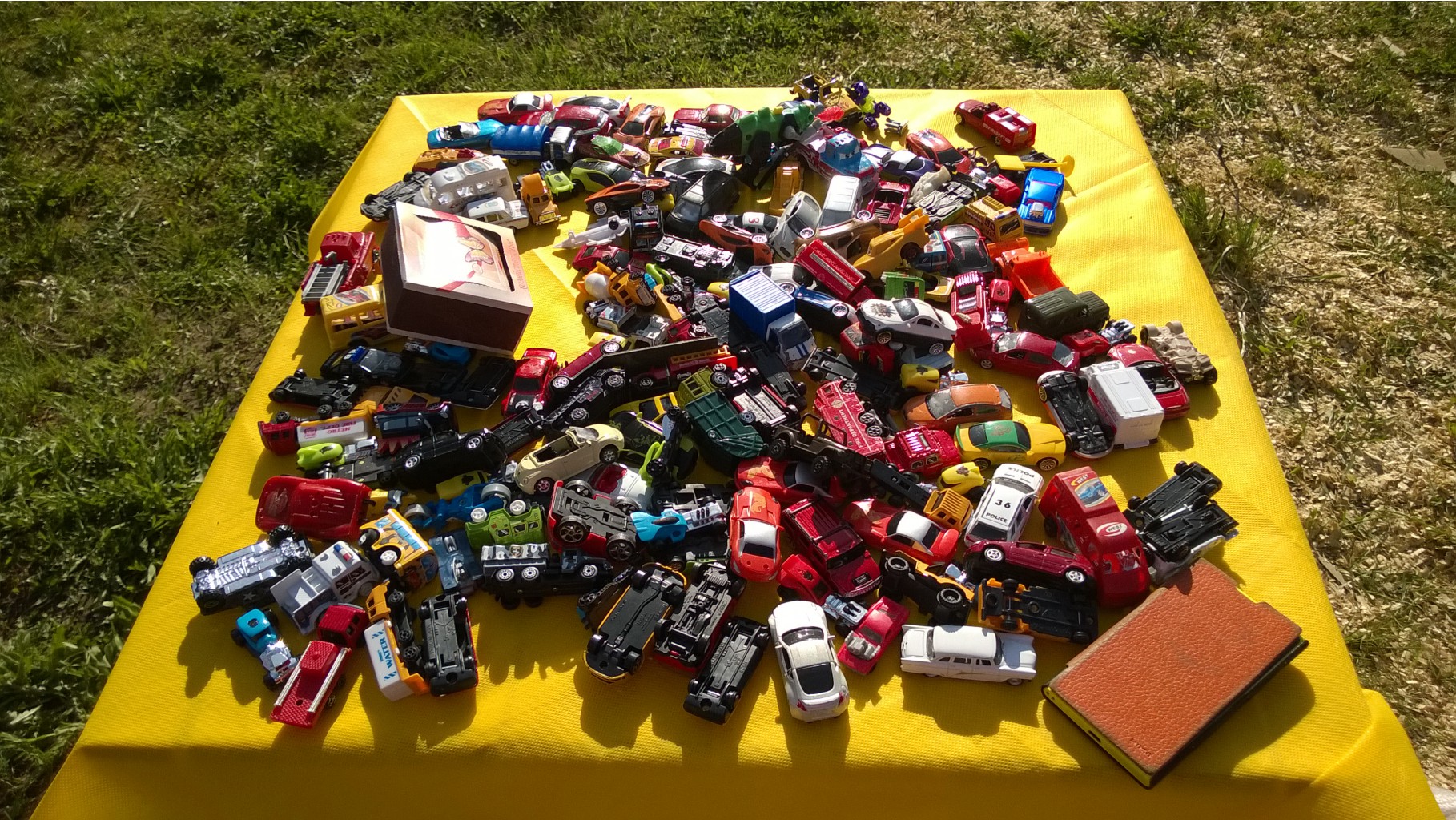 WP_20150510_012.jpg