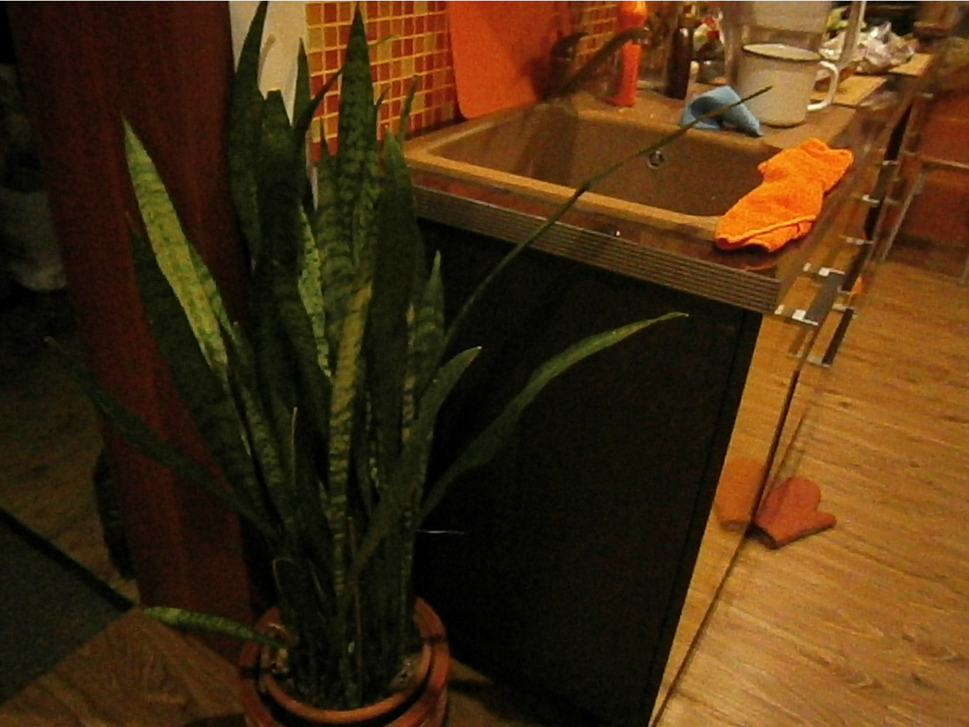 P4301564.JPG
