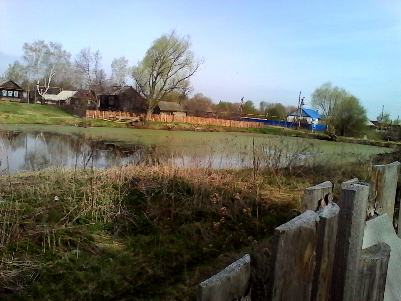 IMG_20150504_072515.jpg