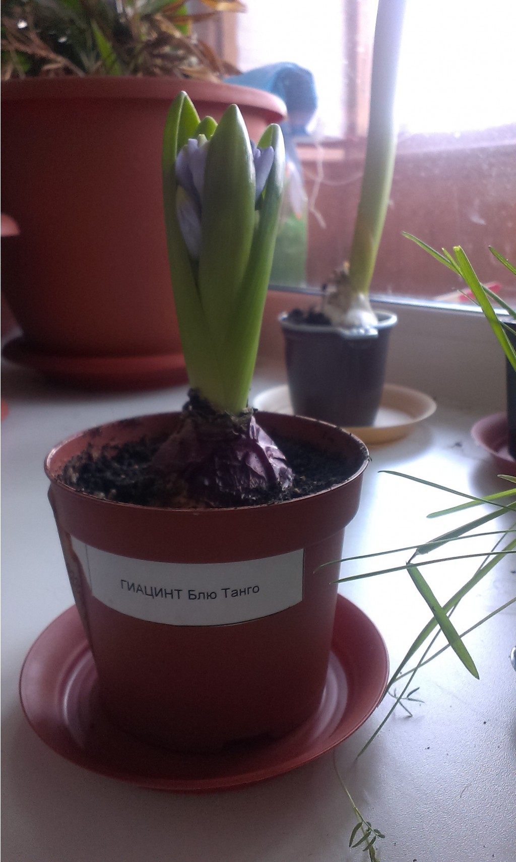 IMAG0541.jpg