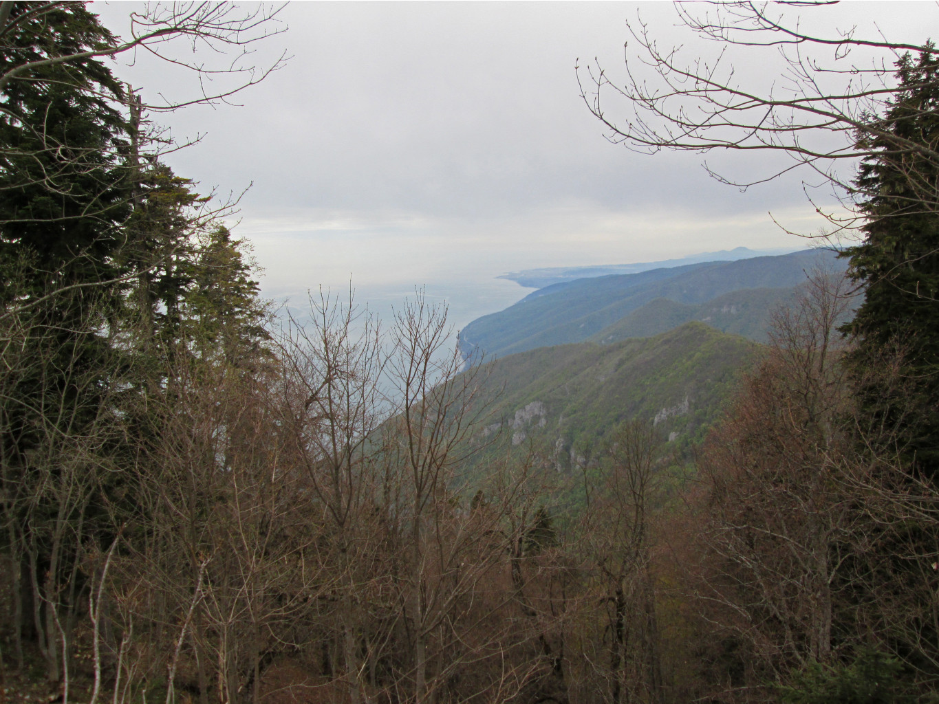 IMG 3076.JPG