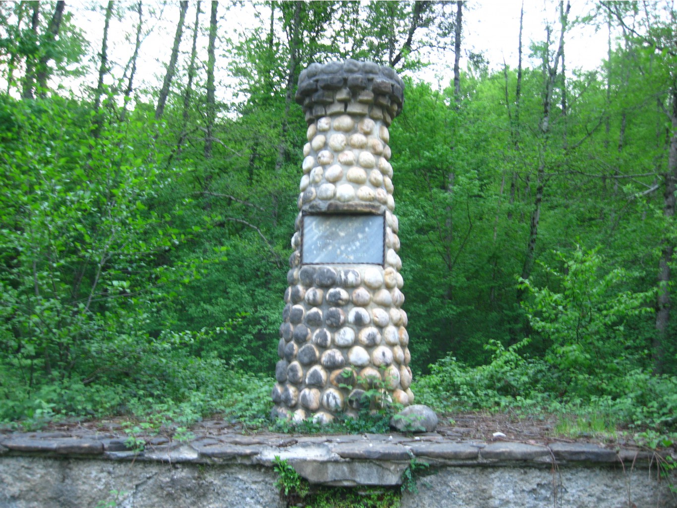 IMG 1460.JPG