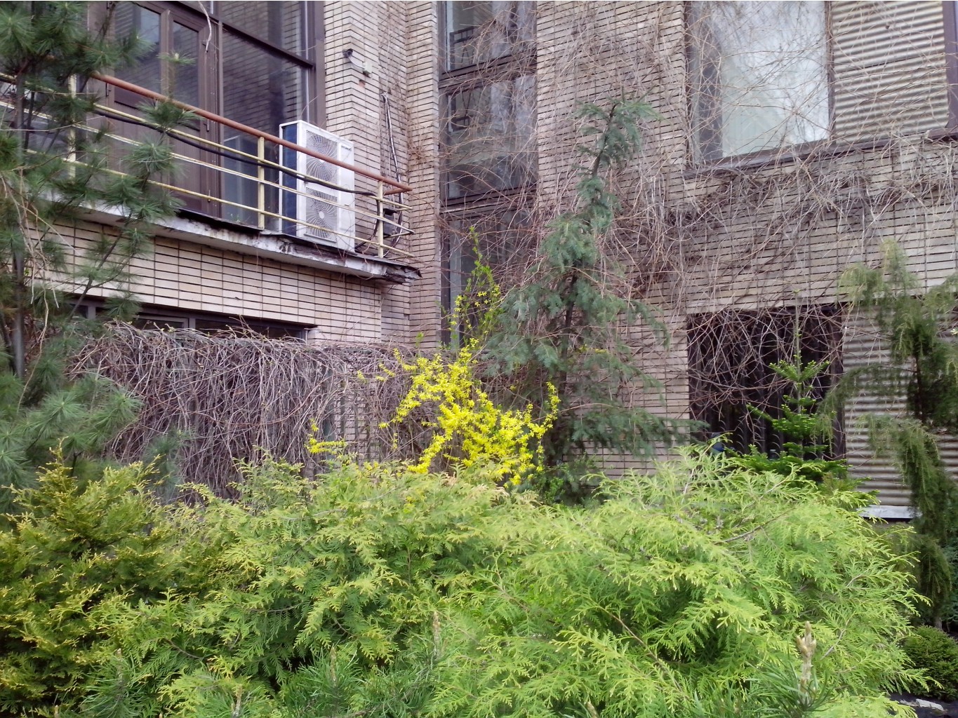 IMG_20150504_175029.jpg