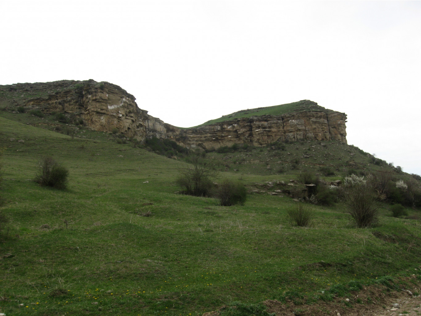 IMG 0937.JPG