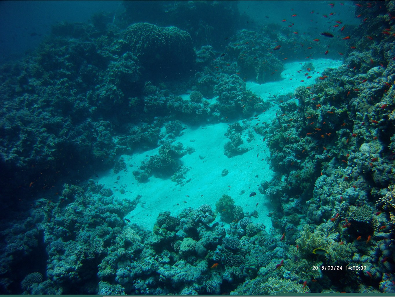 PICT0084 (2).JPG