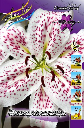 34,55.   (   10 .,   1.).jpg