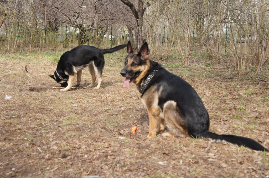 DSC06917.JPG
