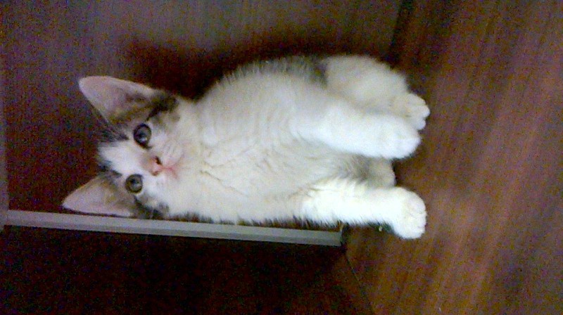 WP 20150509 035(1).jpg