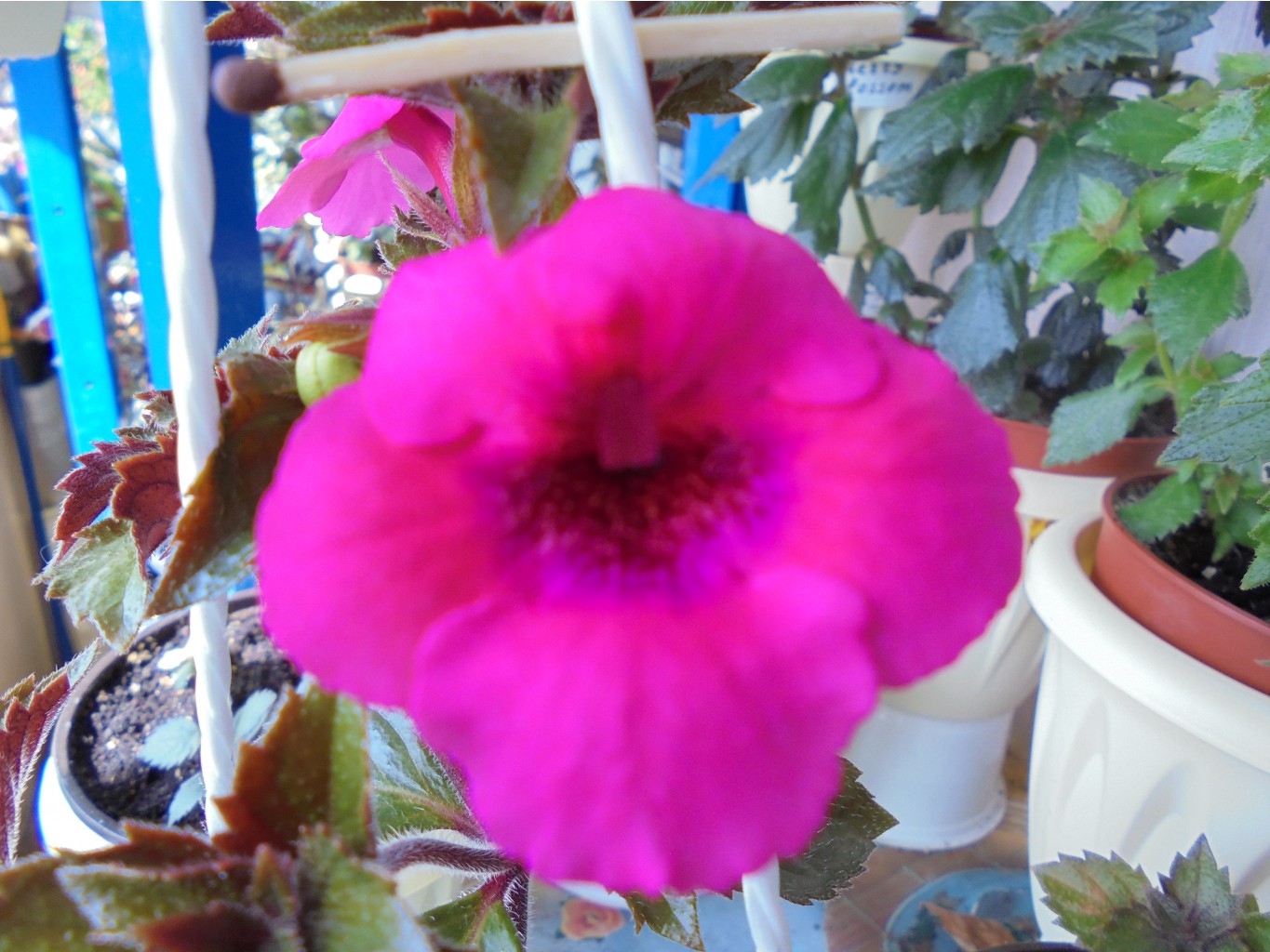 DSC00251.JPG