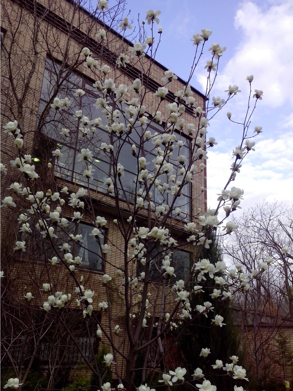 IMG_20150504_182505.jpg