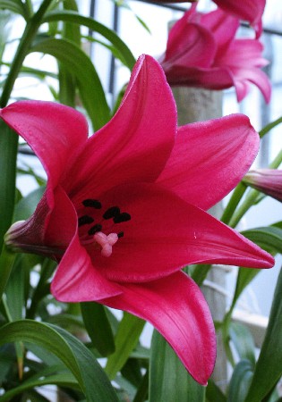 31,71.   (   10 .,   1.)15.jpg