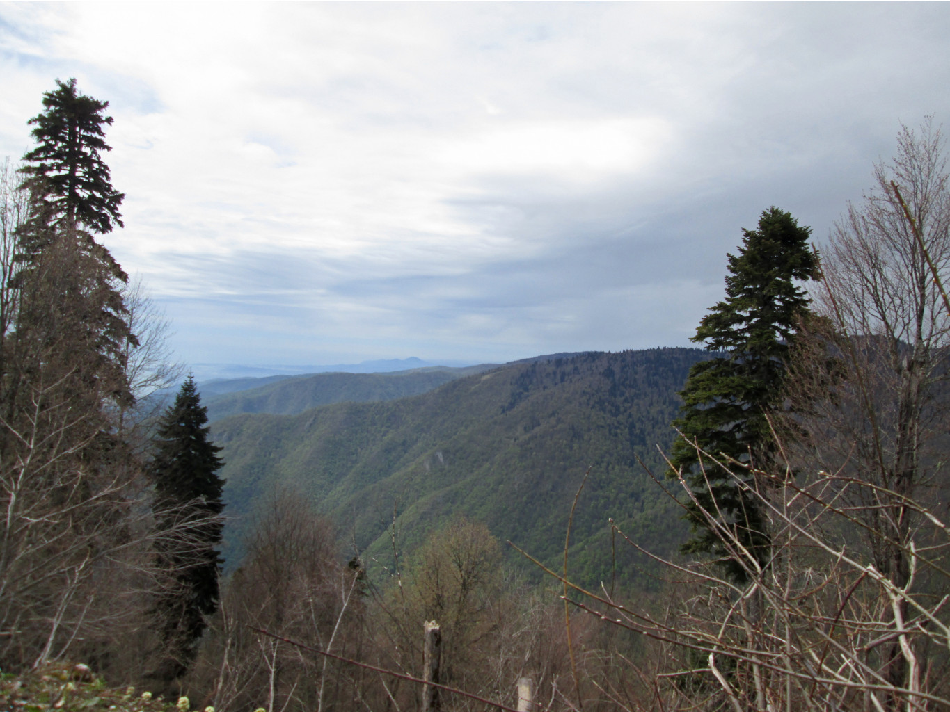 IMG 3108.JPG