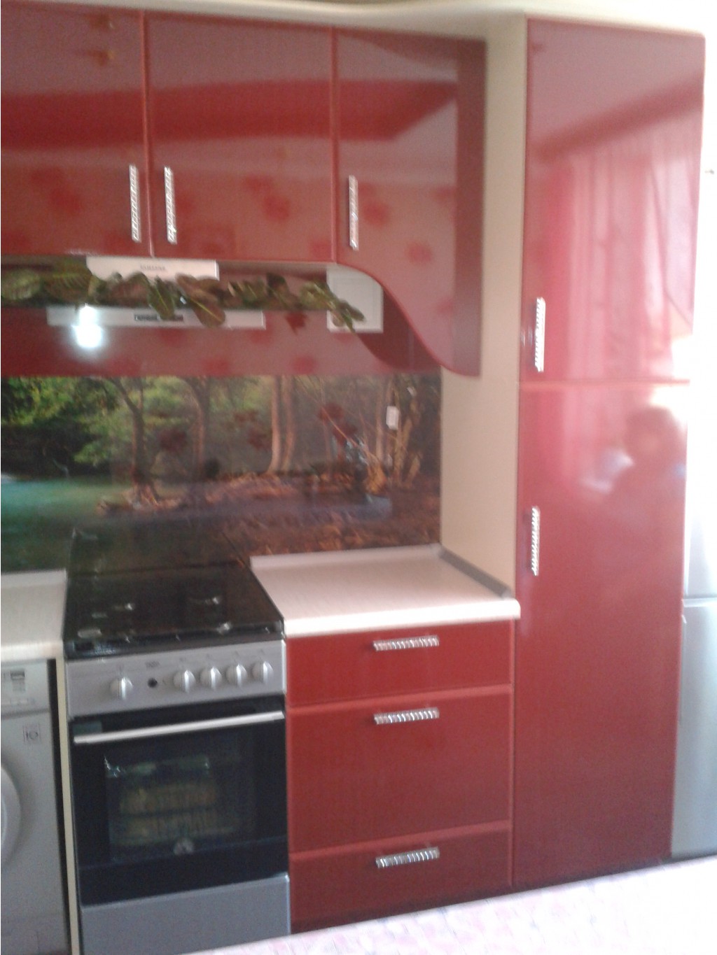 2015-03-04 13.44.46.jpg