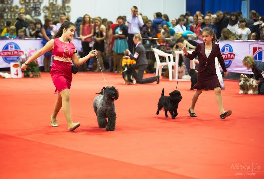 IMG_6375.jpg