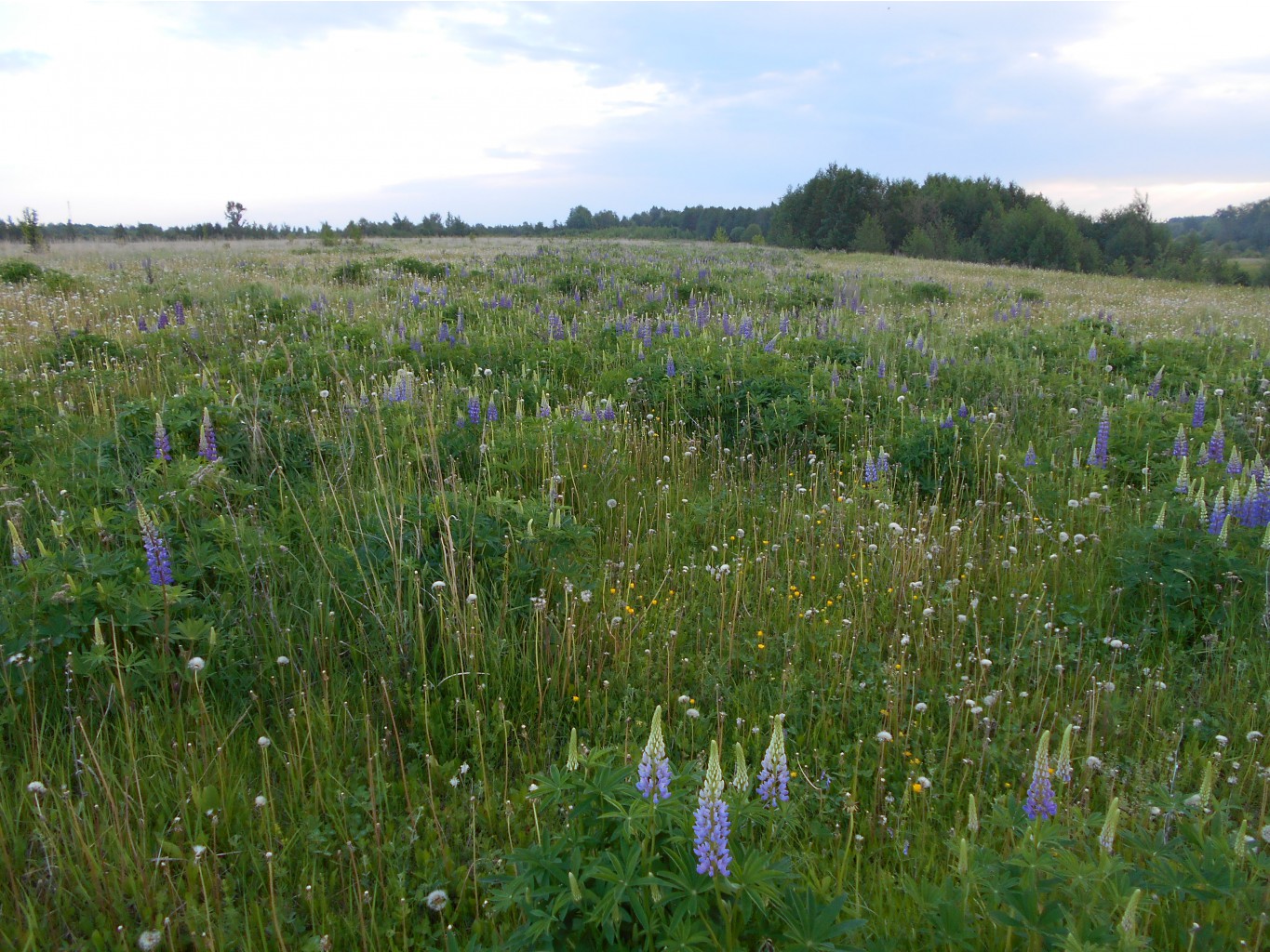 DSCN0593.JPG