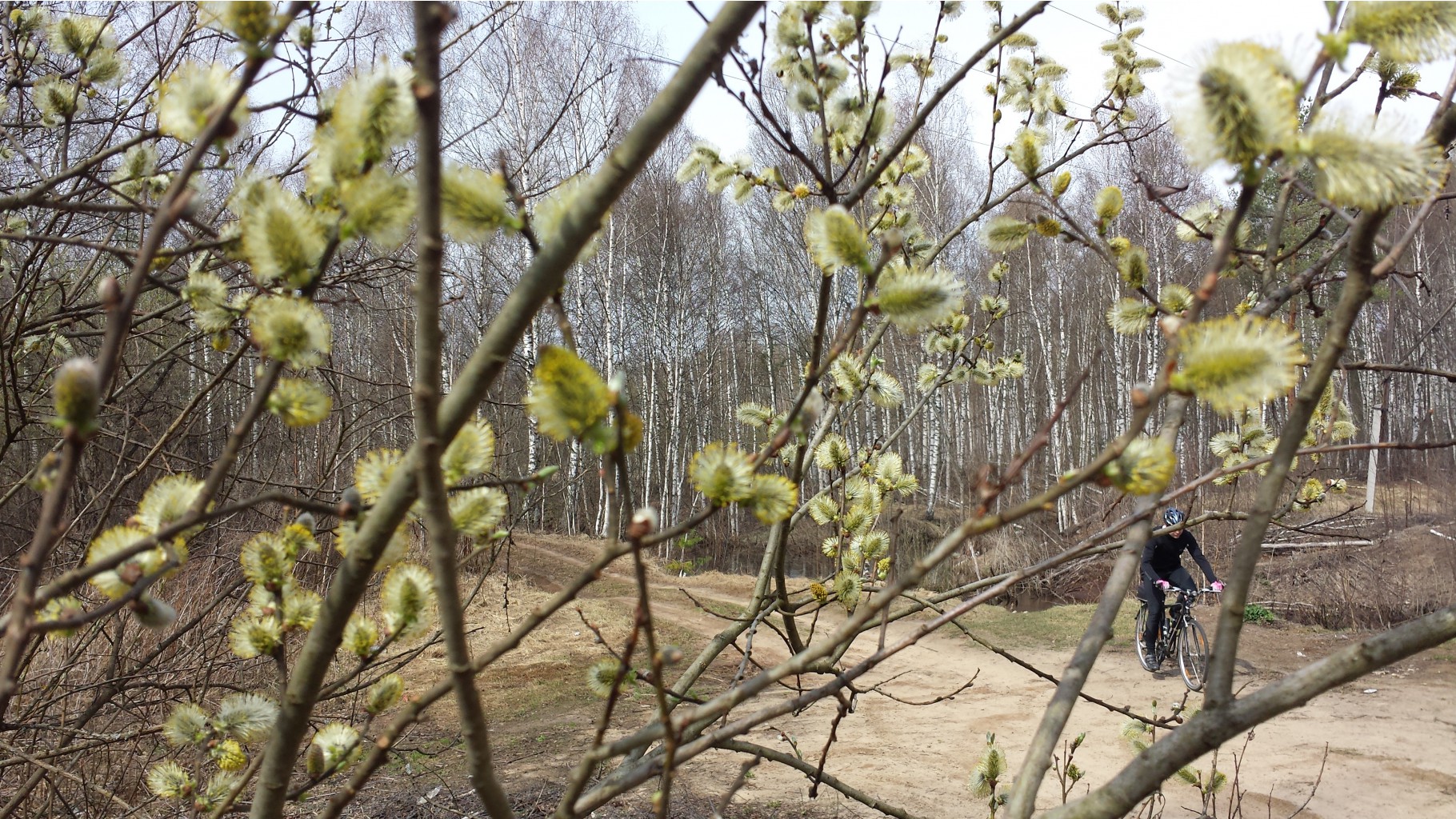 20150501_104806.jpg