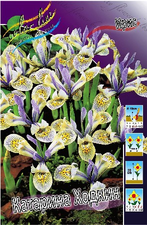 12,09.  .  ( 10 .   5.).jpg