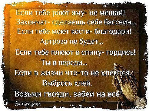 IMG_20150513_110419_34.jpg